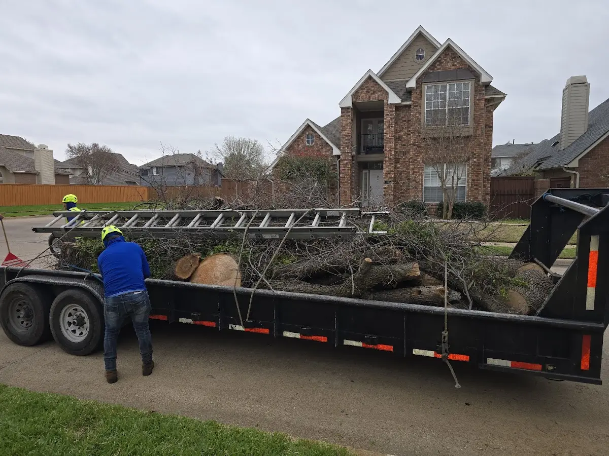Expert Lot Clearing with proper safety equipment in Naples